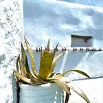 Appartement Babatseratsi Skyrian 2 Skyros