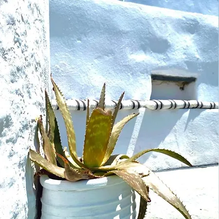 アパート Babatseratsi Skyrian 2 スキロス