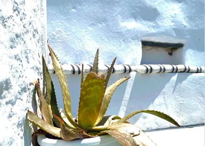 Apartment Babatseratsi Skyrian 2 Skyros